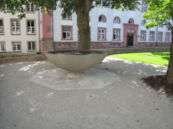Brunnenschale im Innenhof der Neuen Universität